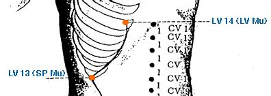 lv14 acupuncture point